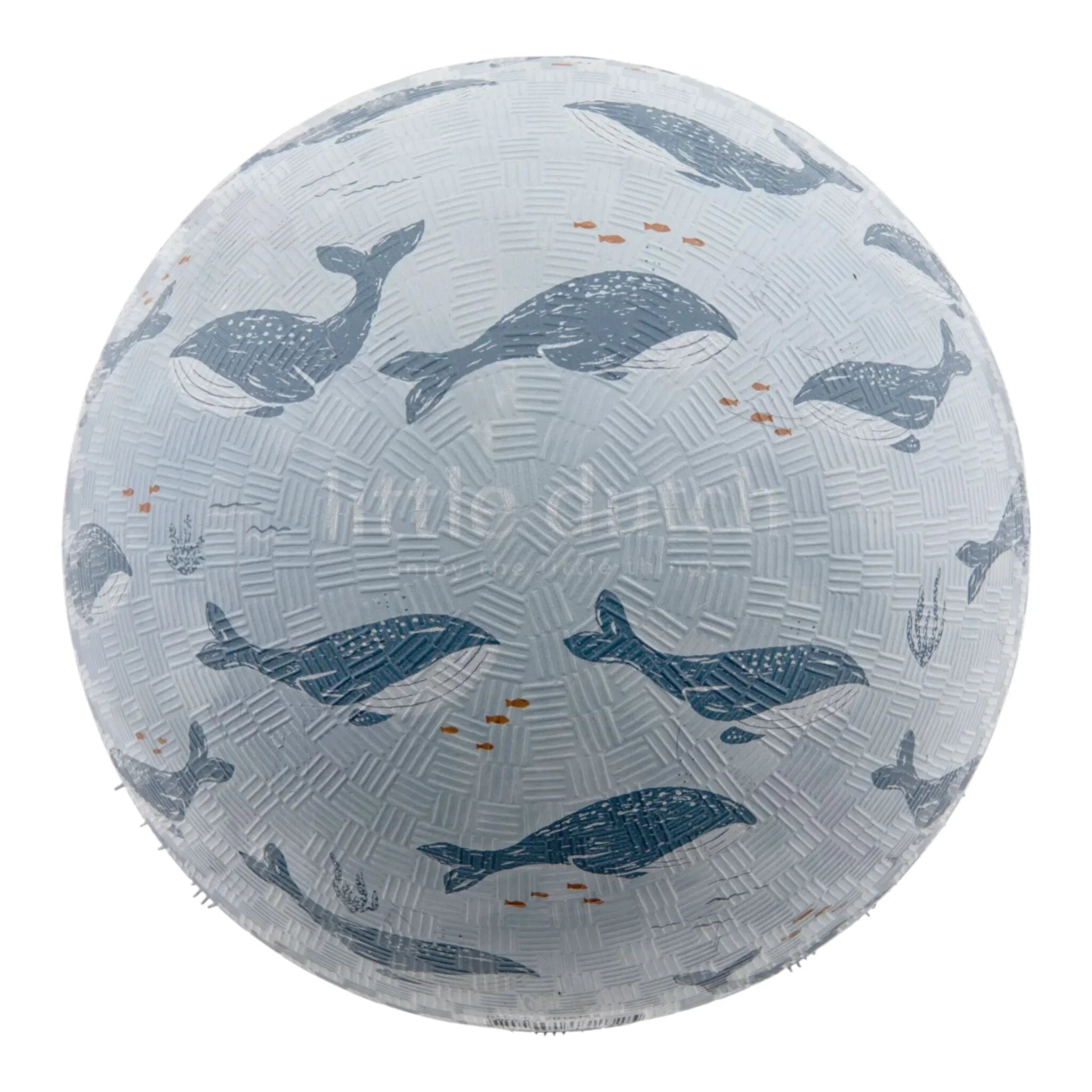 Bal - Blauw - Ocean World