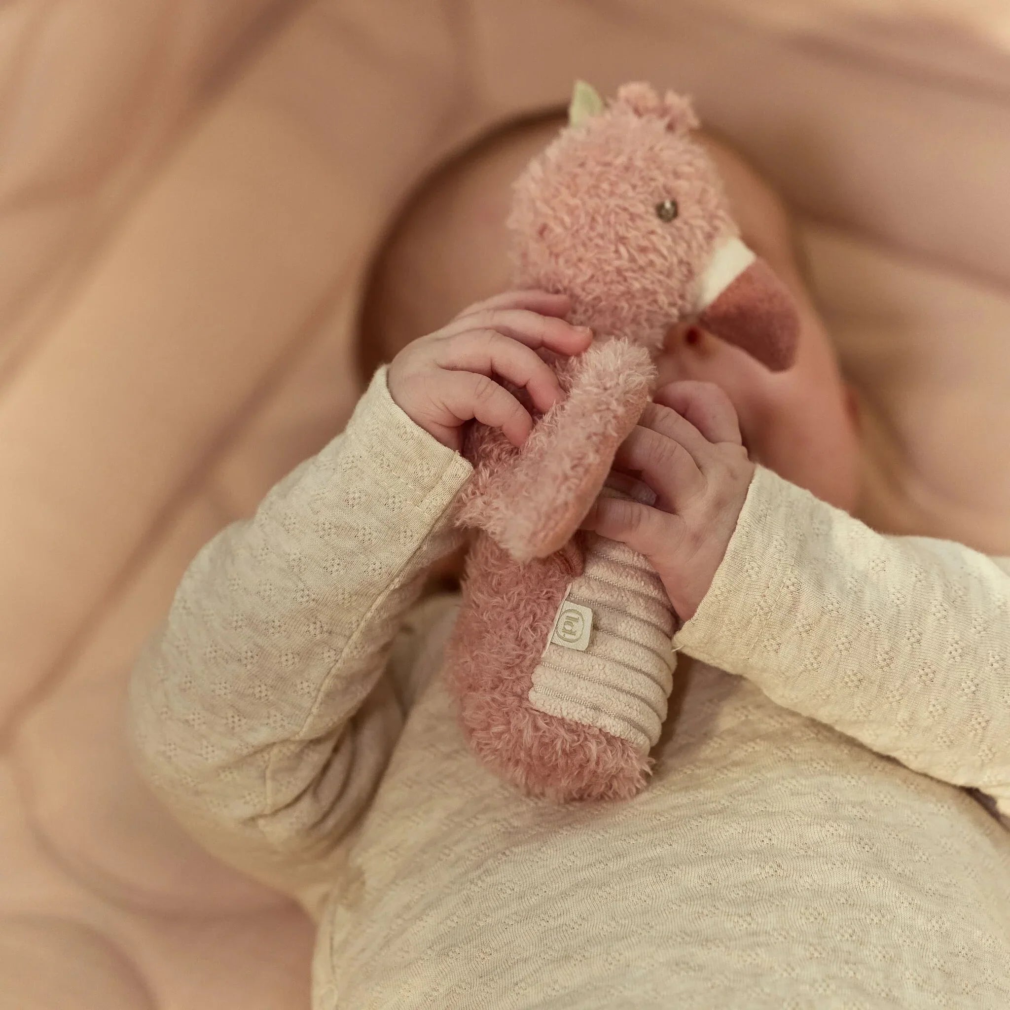 Knijprammelaar Flamingo - Roze
