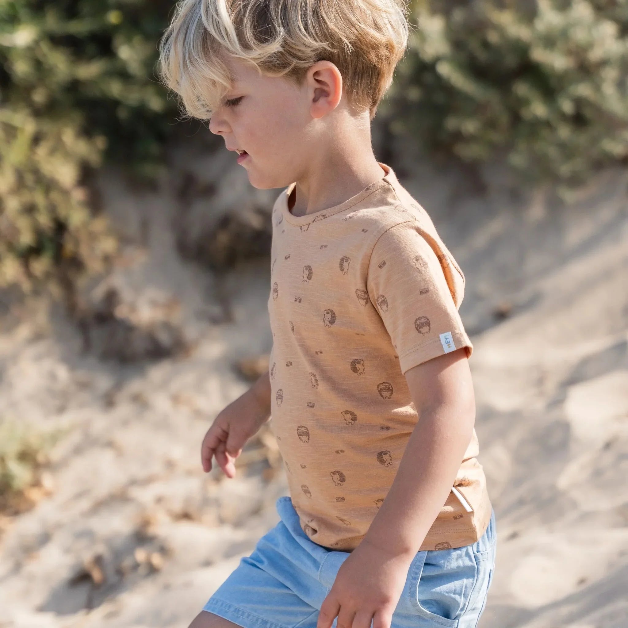 Shirt  korte mouw - Bruin