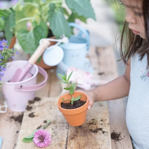 Tuingereedschap - Roze - Fairy Garden