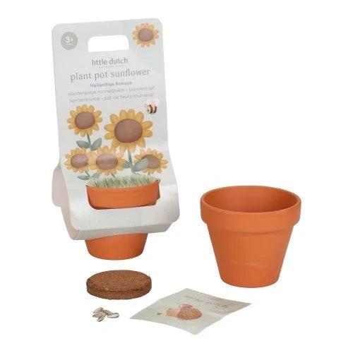 Plantenpotje - Zonnebloem