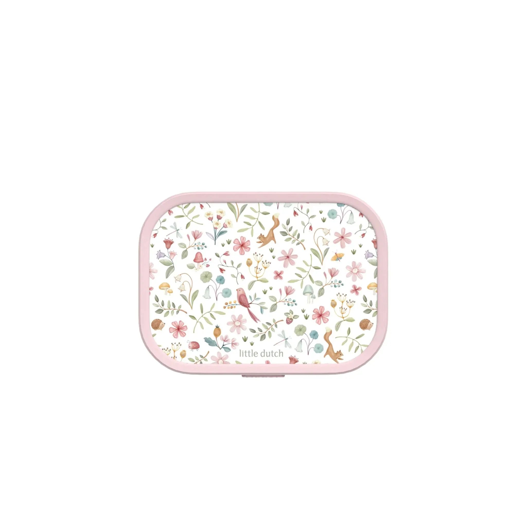 Lunchbox Fairy Wonders