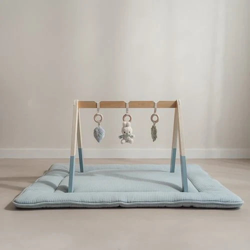 nijntje babygym - Blauw - Lucky Leaves