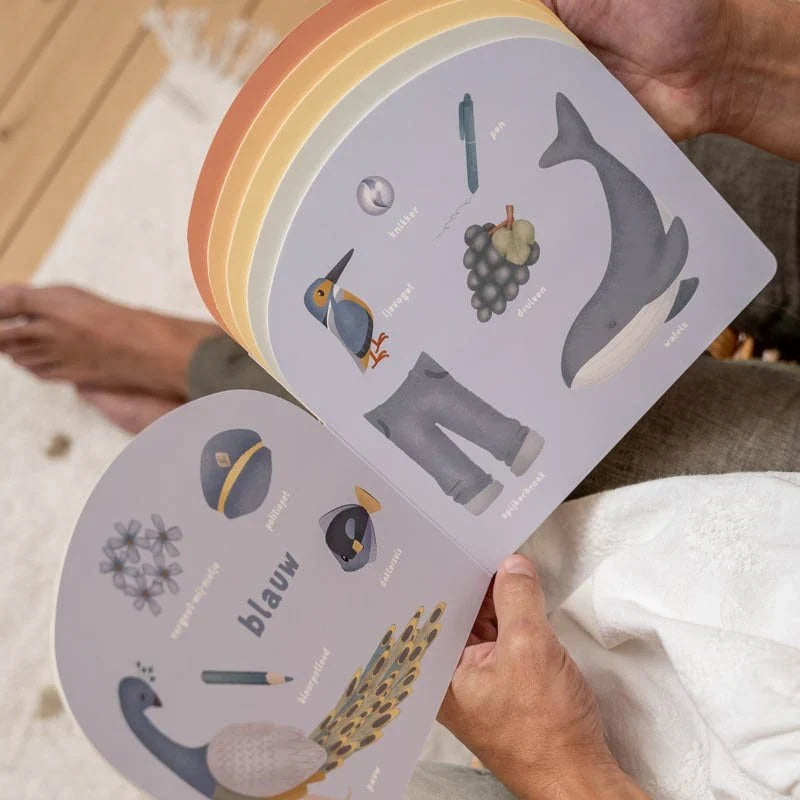 Kinderboek Regenboog Kleurenboek - NL