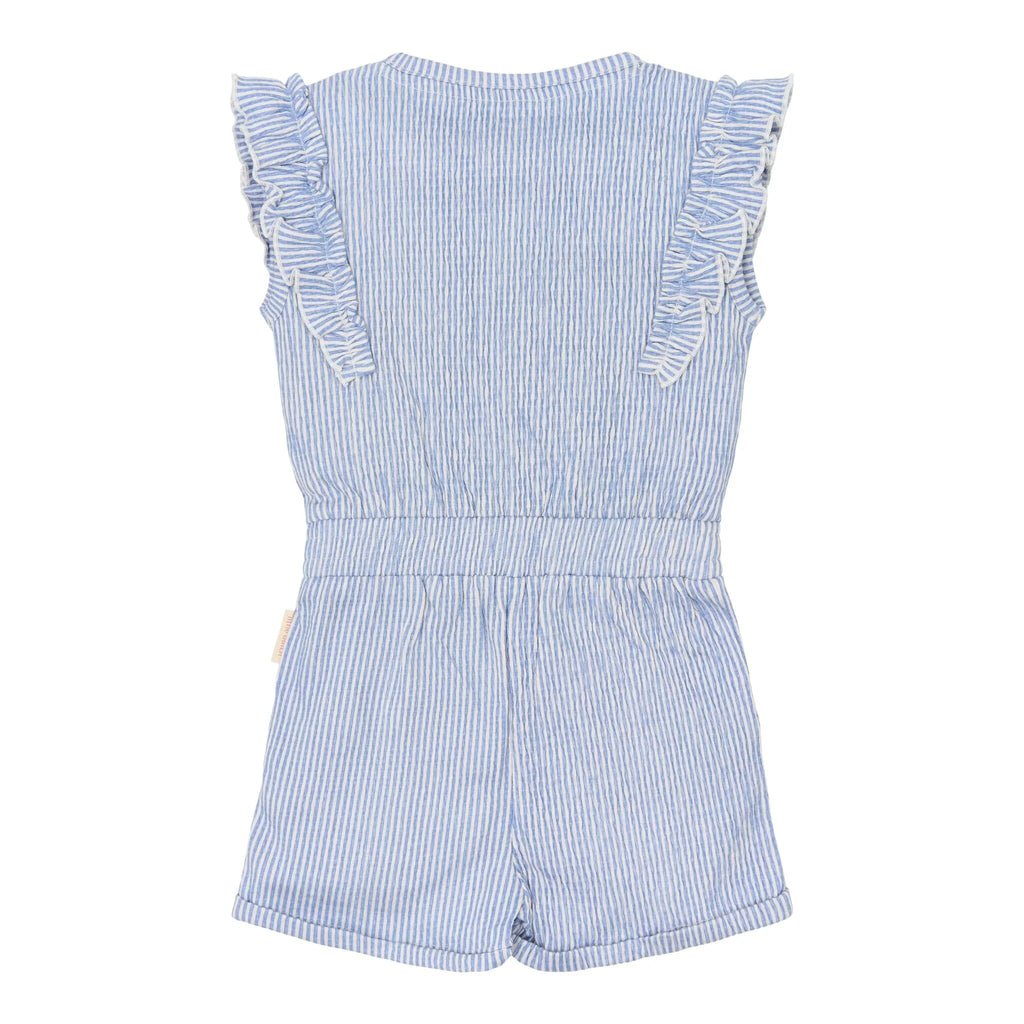 Tuinbroek - Blauw - Denim Blue Stripe