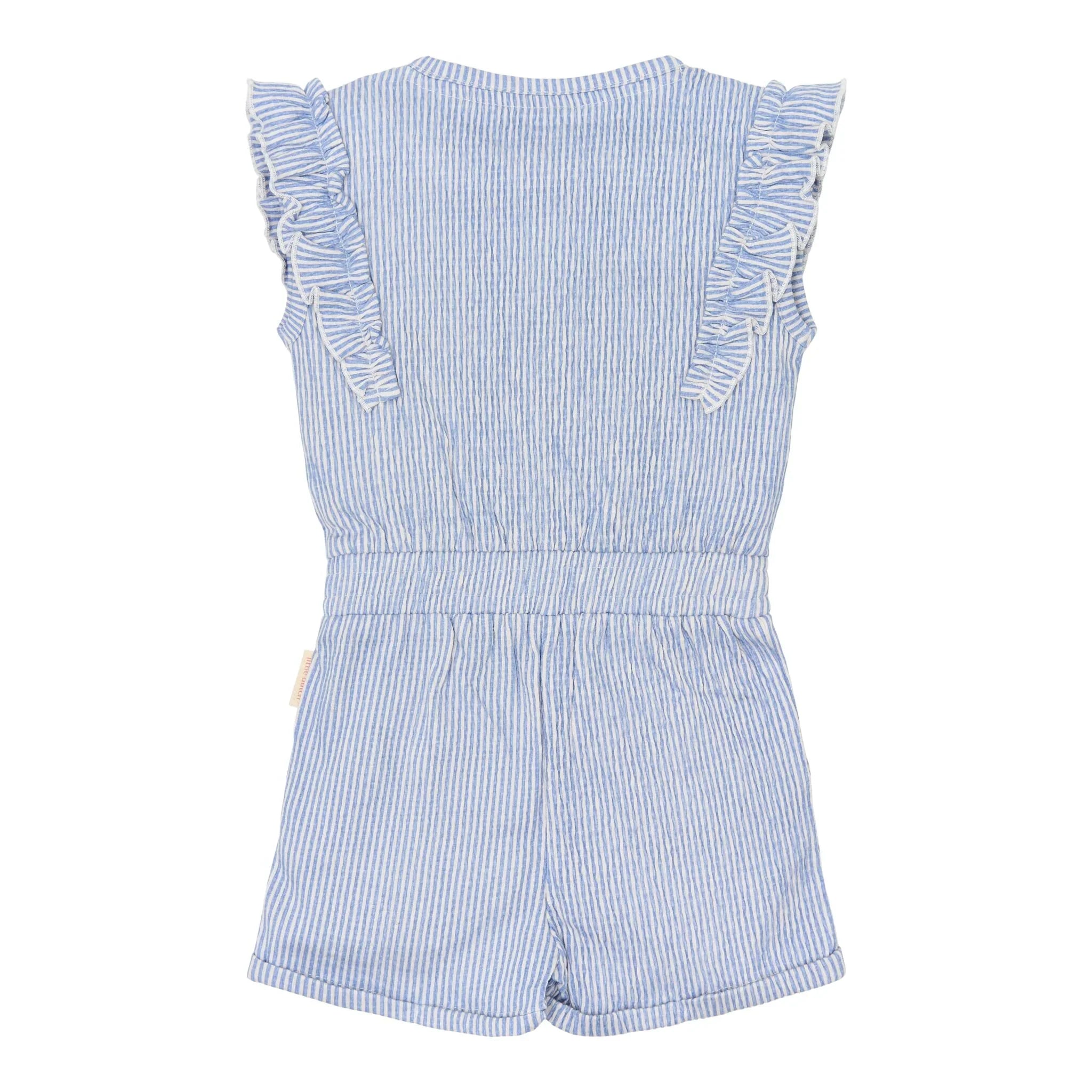 Tuinbroek - Blauw - Denim Blue Stripe