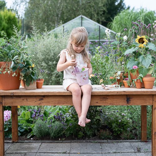 Tuin emmer - Roze - Fairy Garden